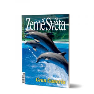 Gran Canaria - skákající delfíni