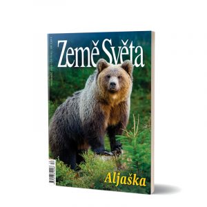 Aljaška - medvěd grizzly