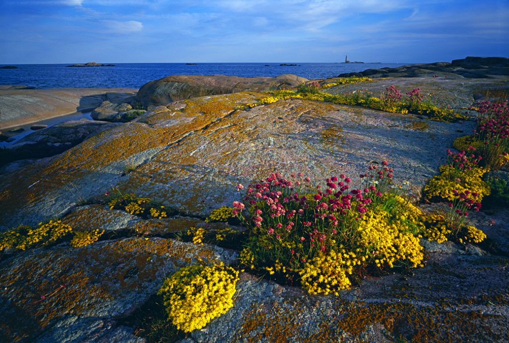 Ålandské ostrovy
