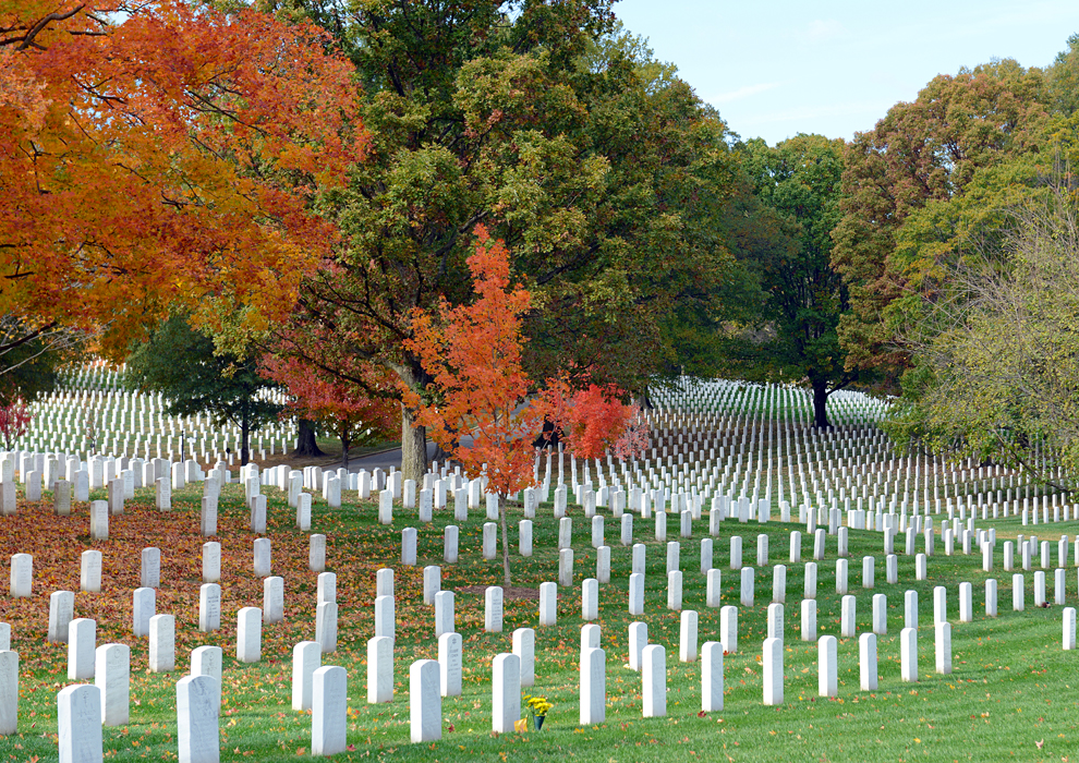 Arlingtonský hřbitov - řady náhrobků