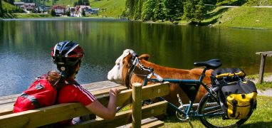 Enžská cyklostezka - netradiční setkání s krávou