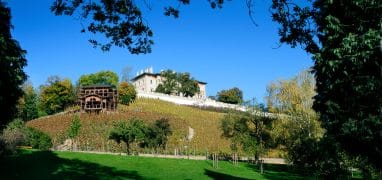 Grébovka - pohled na vilu přes vinice