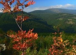Jeseníky - pohled na podzimní hory