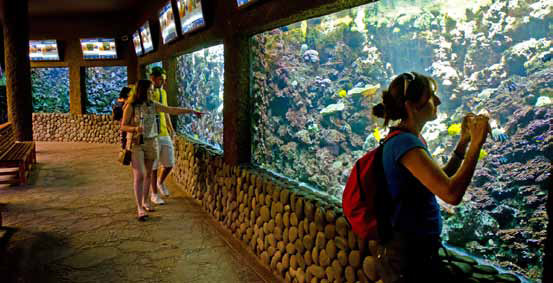 Los Palmitos - akvárium