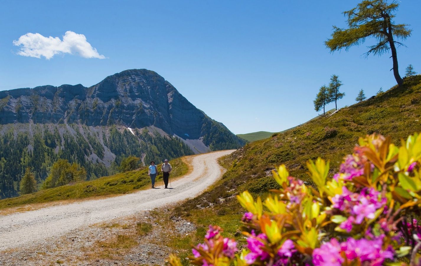Rakousko - turisté na anoramatické silnici Goldeck
