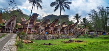 Toraja - Vesnice Kete Kesu s tradičními domy nazývanými tongkonany