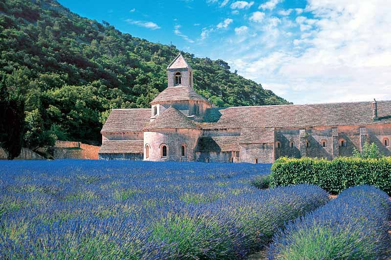 Levandule u kláštera v Provence