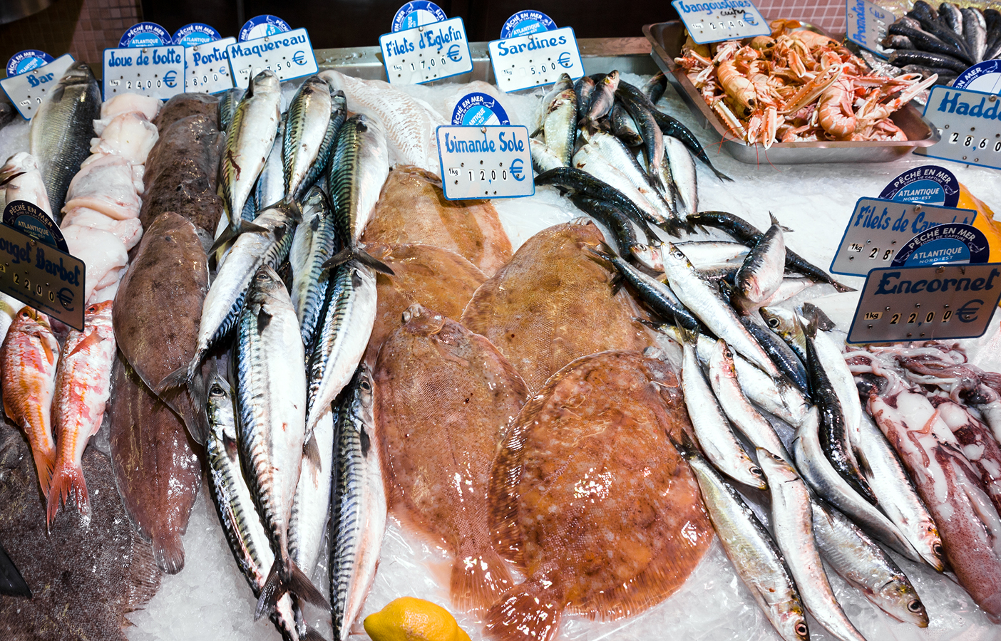 Bretaň - Nabídka čerstvých ryb a darů moře v Tréguieru