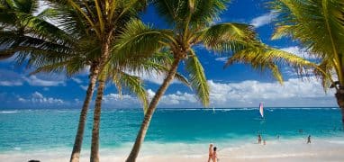 Dominikánská republika - písečná pláž s palmami a turisty