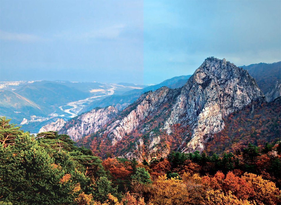 Hory v Koreji