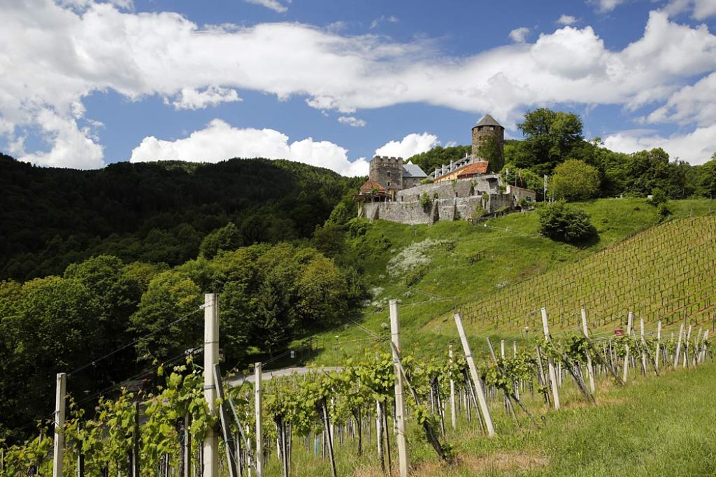 Hradní a zámecká stezka - Hrad Deutschlandsberg obklopují vinice