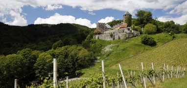Hradní a zámecká stezka - Hrad Deutschlandsberg obklopují vinice
