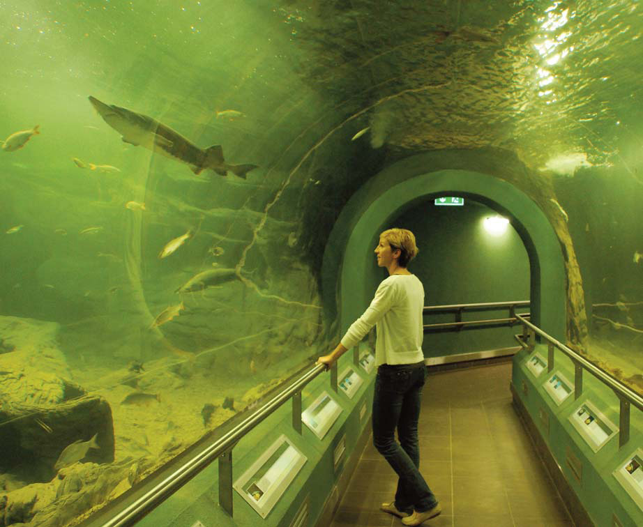 Maďarsko - zajímavosti - akvárium