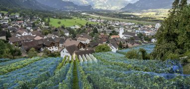 Lichtenštejnská příroda - Vinice nad obcí Triesen v údolí Rýna