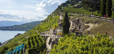 Lavaux Express, díky kterému můžete poznat švýcarská vína
