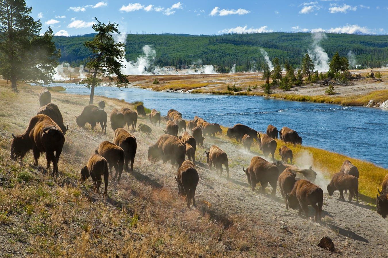Yellowstonský národní park Země Světa
