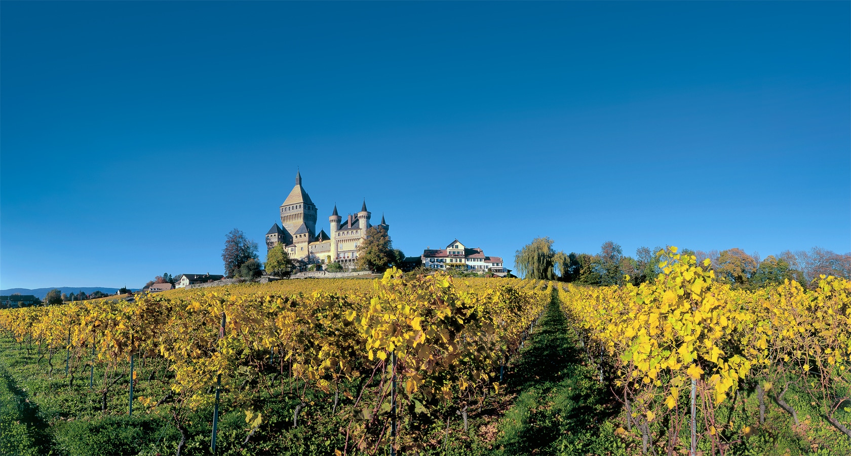 Ženevské jezero - hrad Vufflens mezi vinicemi u Morges