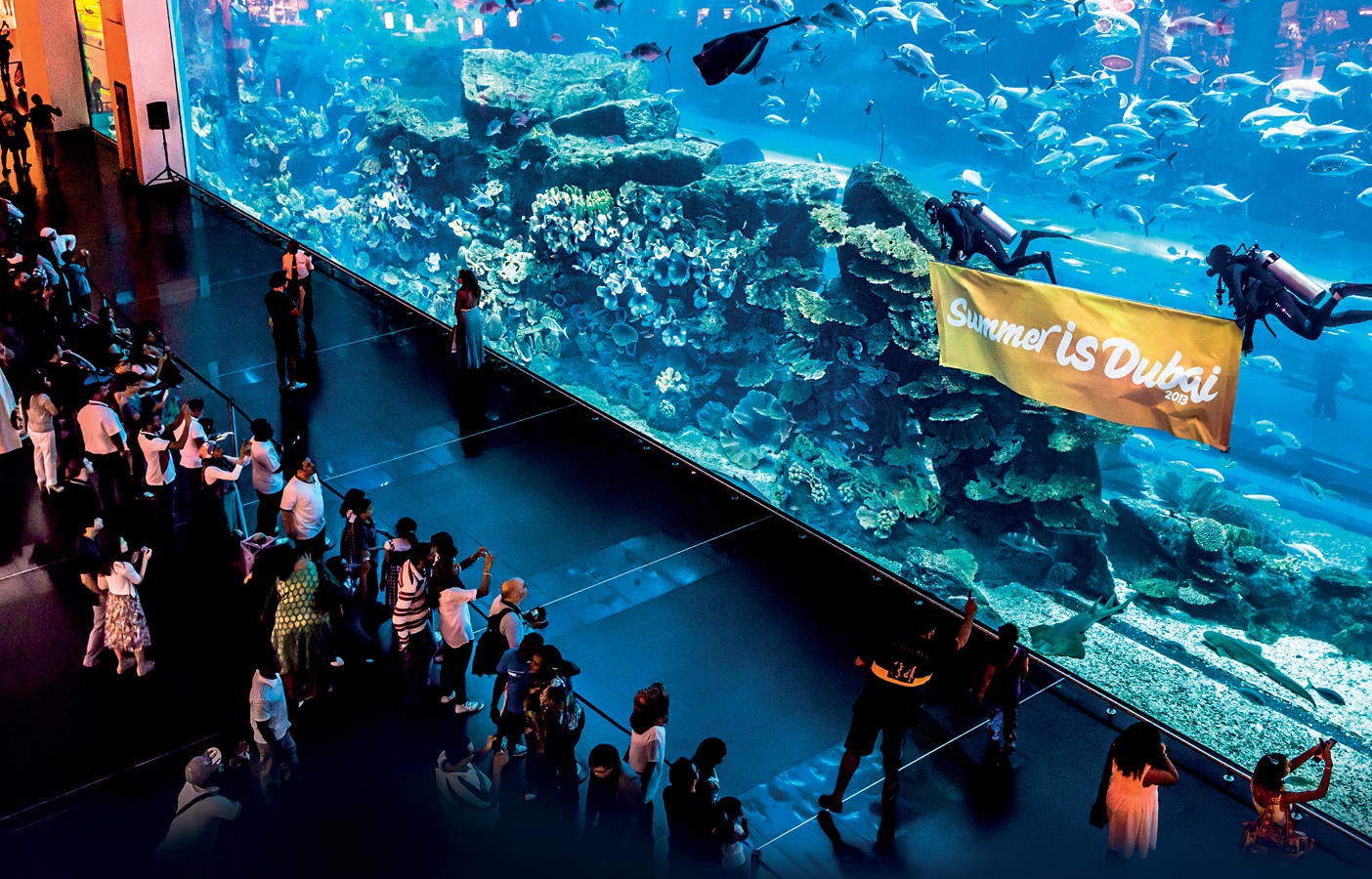 Dubaj - Pohled do hlavní nádrže Dubai Aquarium & Underwater ZOO