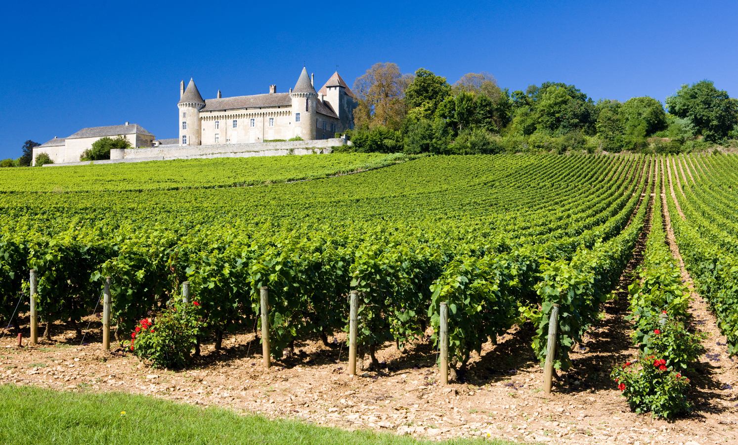 Burgundskem na kole - Zámek Rully obklopený vinicemi