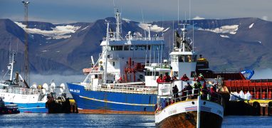 Rybaření na Islandu - Přístav Húsavík