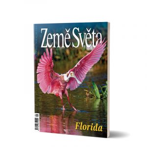 Florida - kolpík růžový v národním parku Everglades