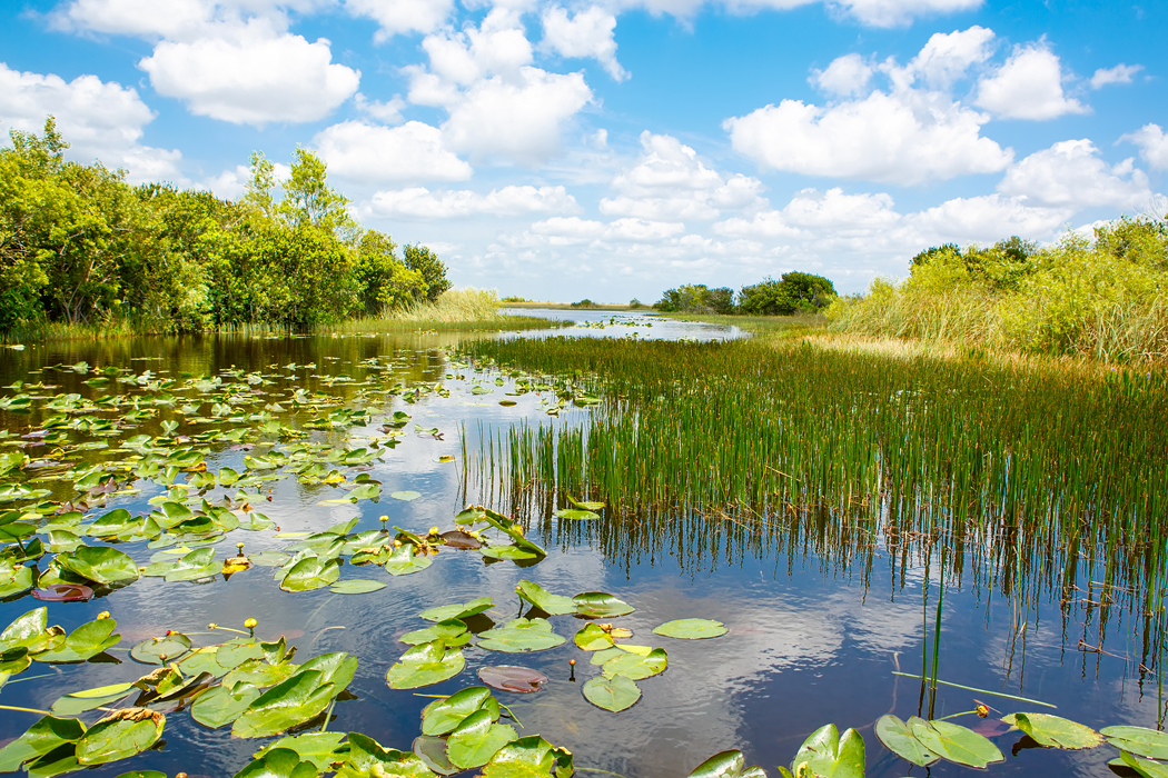 Národní park Everglades - časopis Země světa - monotematické vydání Florida