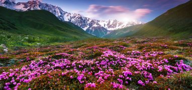 Gruzie - horské louky Vyoského Kavkazu pod nejvyšší horou Šchara