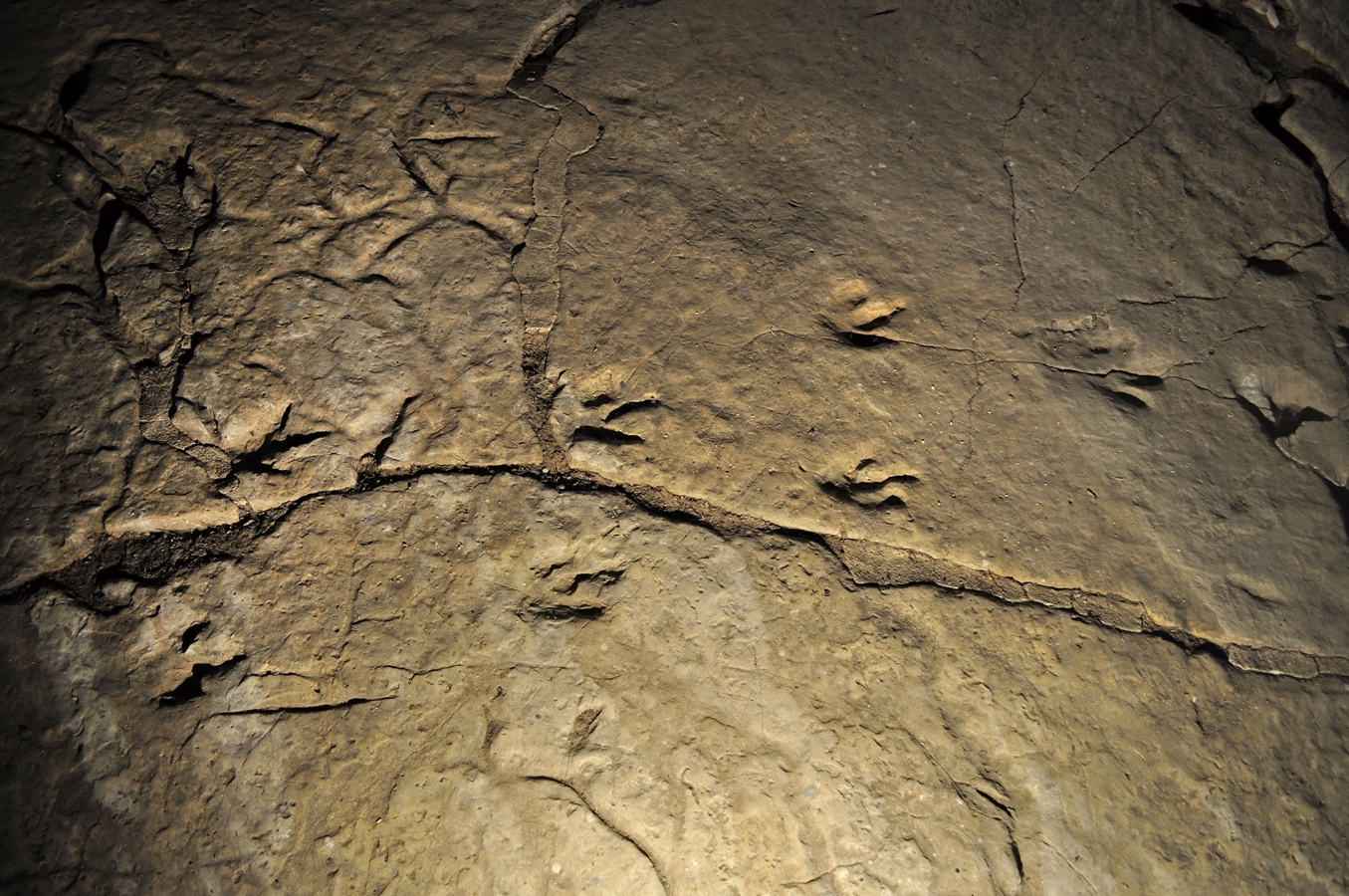 Sataplie - zkamenělé stopy dinosaurů