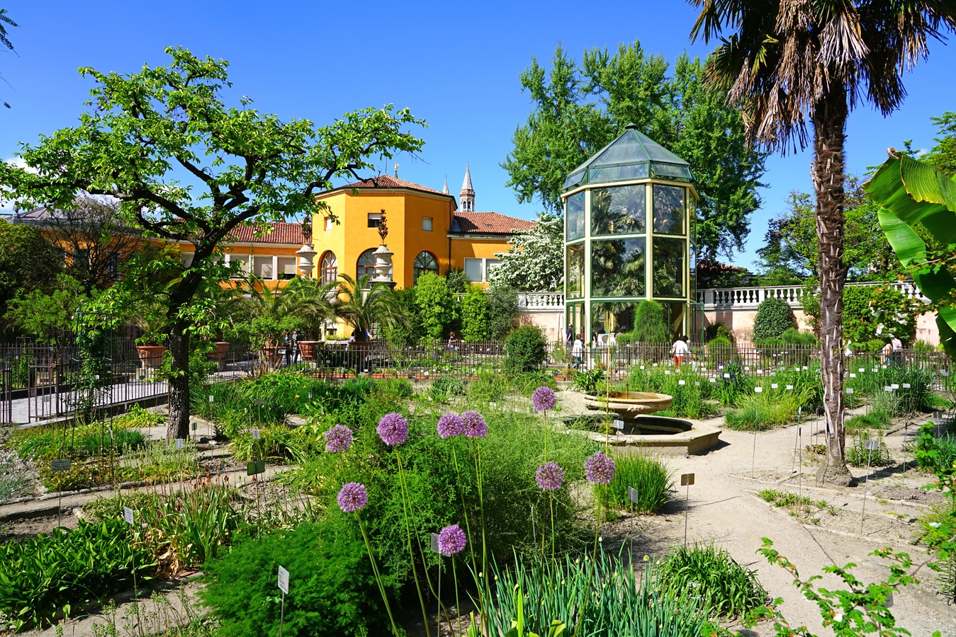 Padova - botanická zahrada
