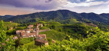 Prosecco - krajina s vinicemi, kde se pěstuje odrůda Glera s typickými "kozími hřbety"