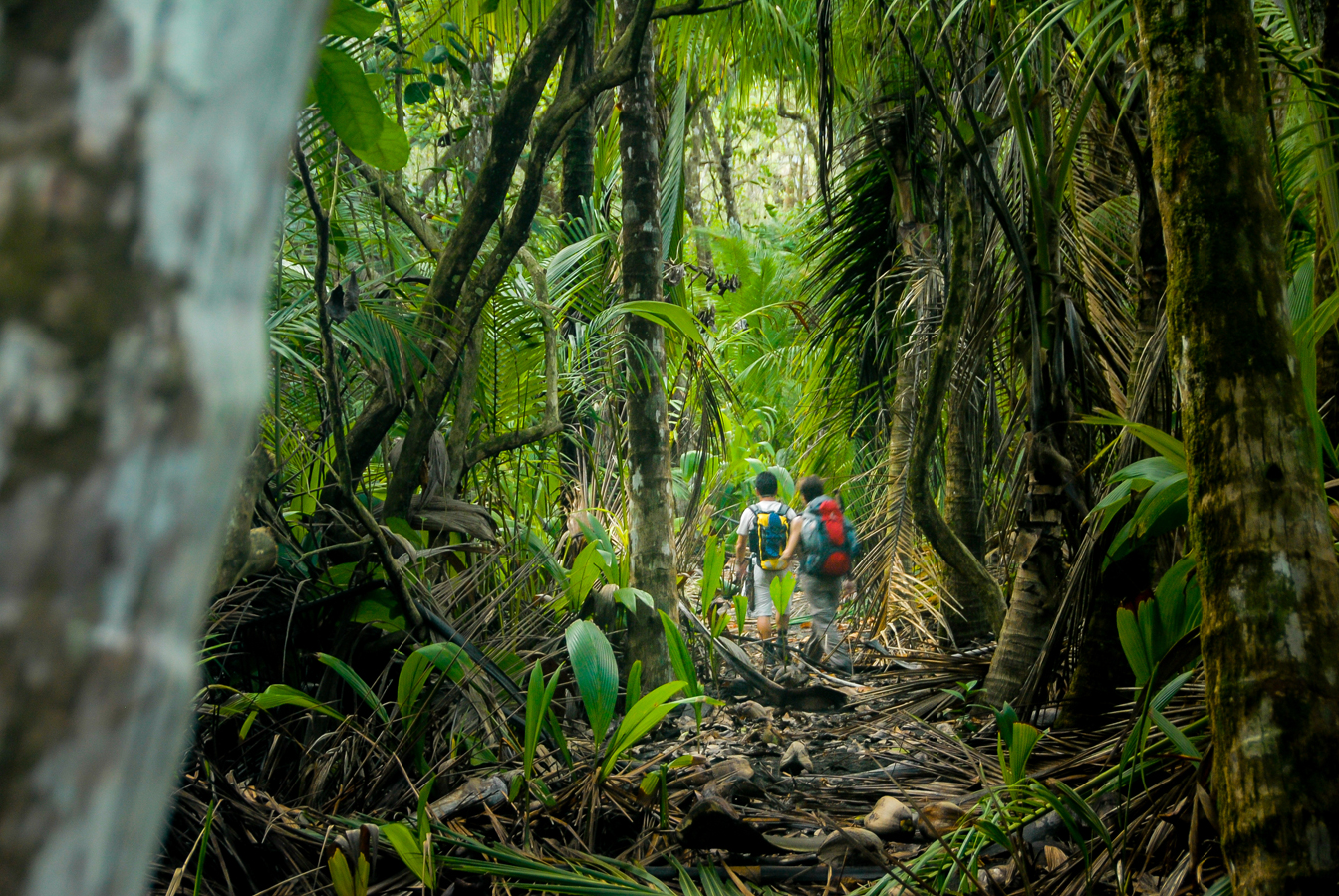 Džungle v národním parku Corcovado - Kostarika národní parky