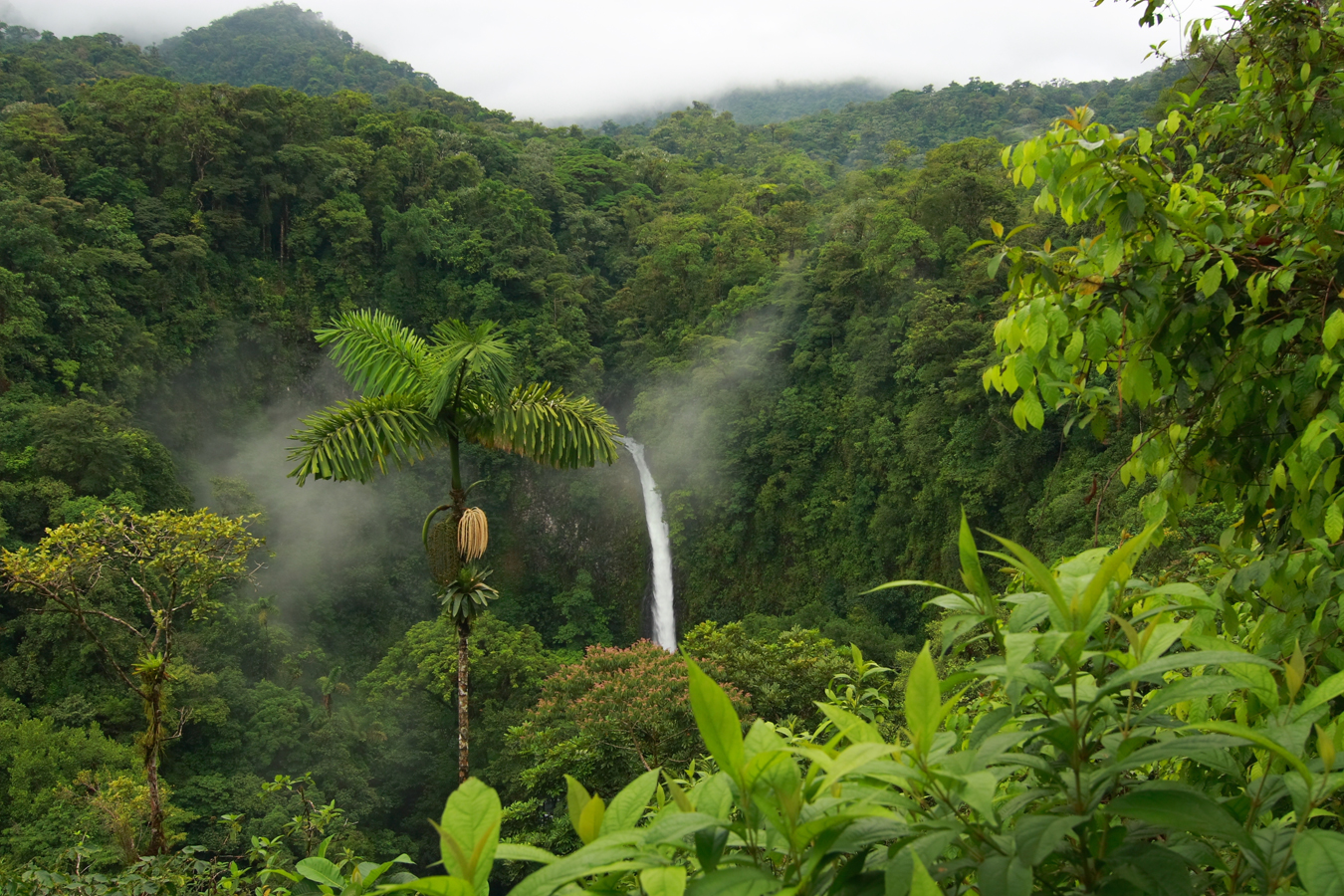 Kostarika - vodopád La Fortuna, kolempřechodném submontánní vlhký les
