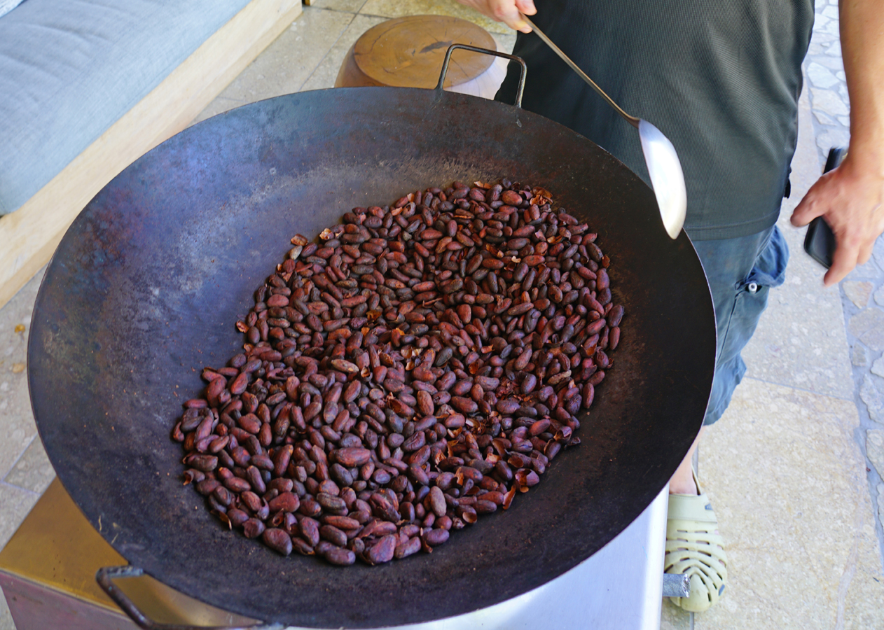 Kakaovník - čerstvě upražené boby kakaovníku