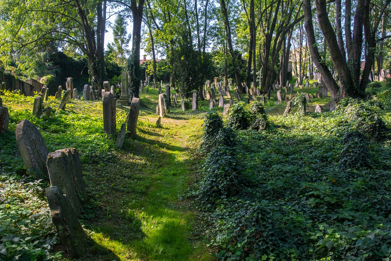 Kolín - Starý židovský hřbitov