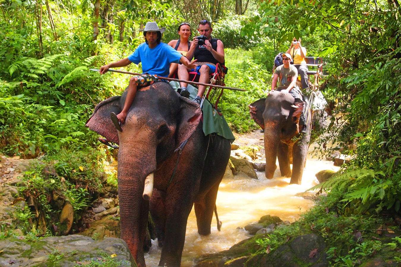 Khao Sok - vyjížďka na slonech do pralesa