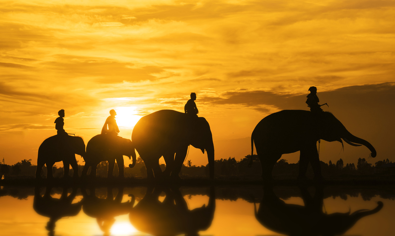 Surin - vyjížďka na slonech v západu slunce