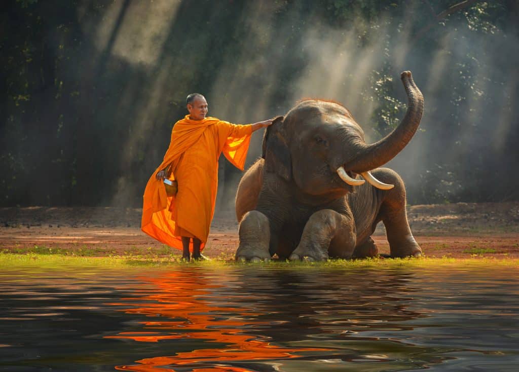 Surin - budhistický mnich koupá slona v řece