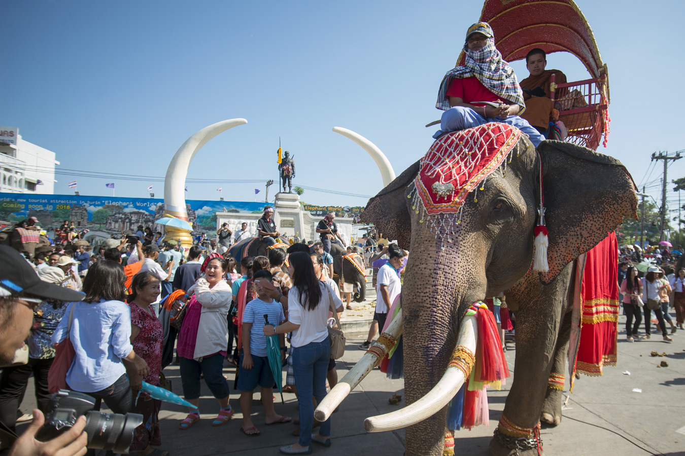 Surin - sloní festival