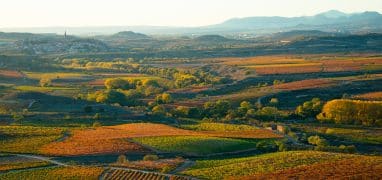 Roncesvalles -krajina s vinicemi v La Rioja