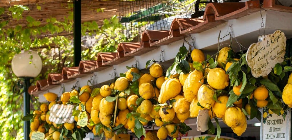 Citrony z Amalfi - stánek s citrony