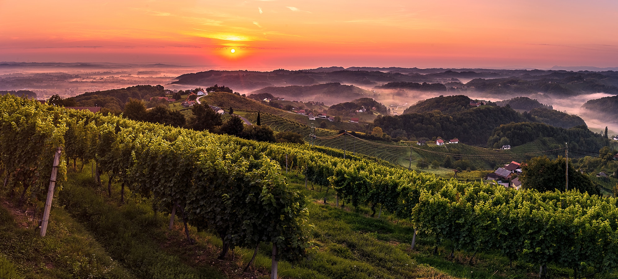 Slovinsko - Jednou ze tří slovinských vinařských oblastí je údolí Drávy