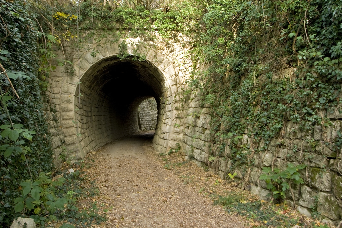 Cyklostezka Parenzana - bávalý železniční tunel