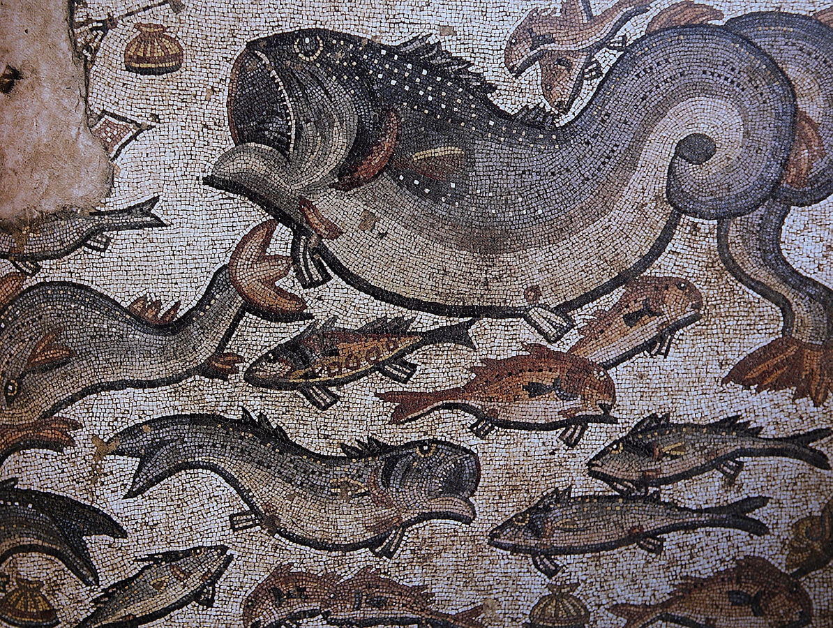 Ravenna - mozaika s motivem ryb z baptisteria ariánů