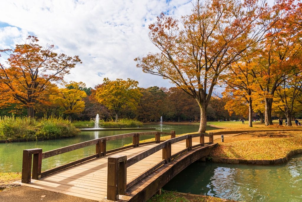 Tokio - podzim v Parku Jojogi