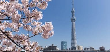 Tokijské mrakodrapy - Tokyo Sky Tree
