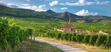 Alsasko - vesnice Hunawihr obklopená vinicemi