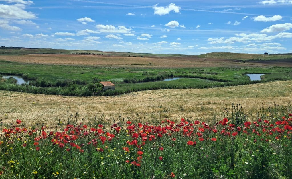 Kastilie-La Mancha -