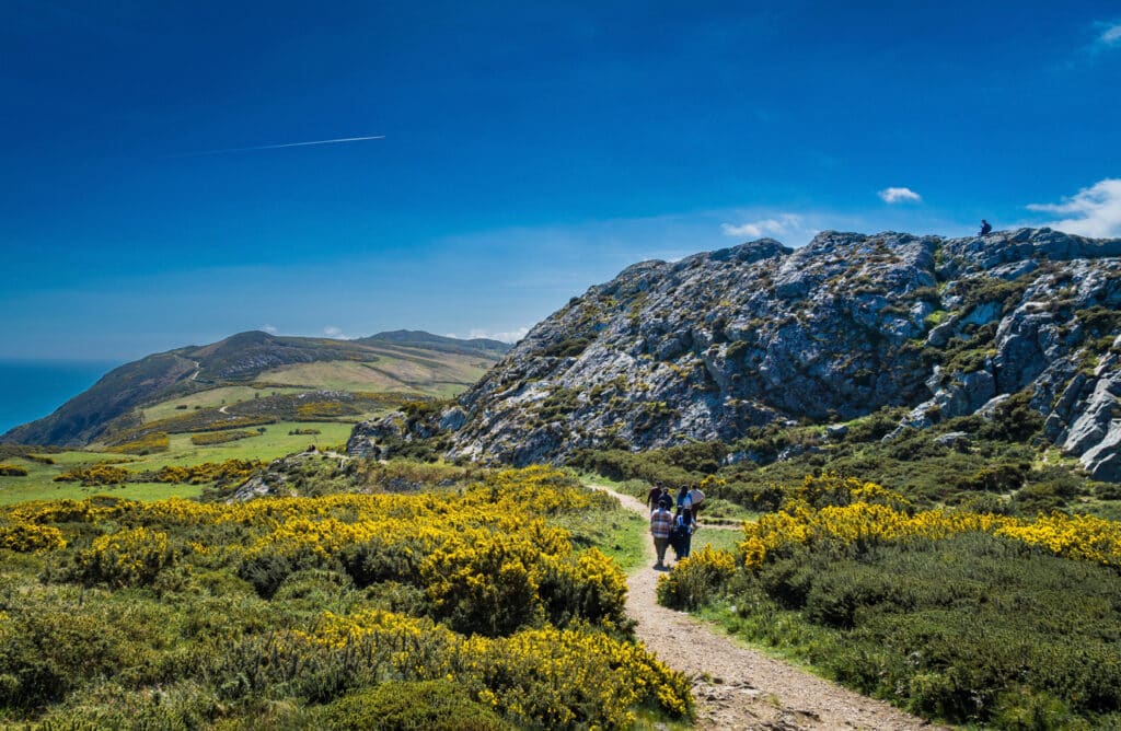 Turisté ve Wicklow Mountains