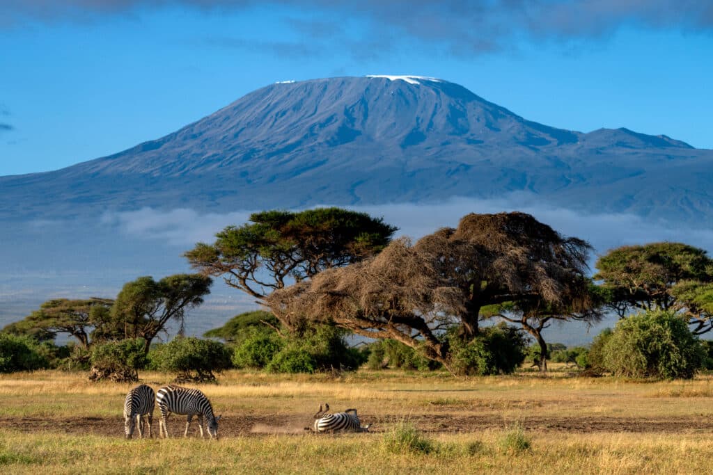 Pohled na Kikimandžáro od severu, z keňského národního parku Amboseli