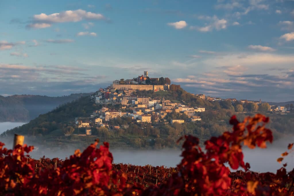 Pohled přes podzimní vinice na Motovun ve vnitrozemí Istrie